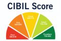 cibil.jpg
